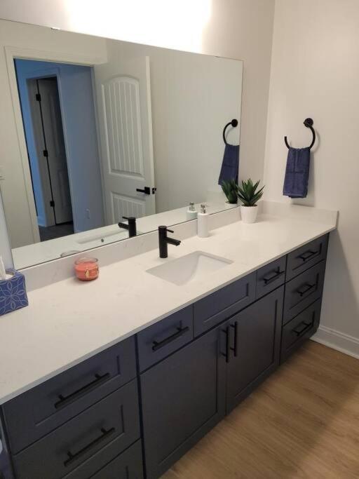 South Charlotte'S Cozy & Modern Appartement Buitenkant foto