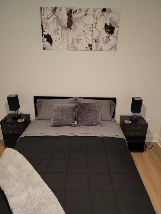 South Charlotte'S Cozy & Modern Appartement Buitenkant foto